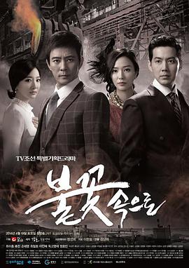 濮阳seo优化网络推广外包费用